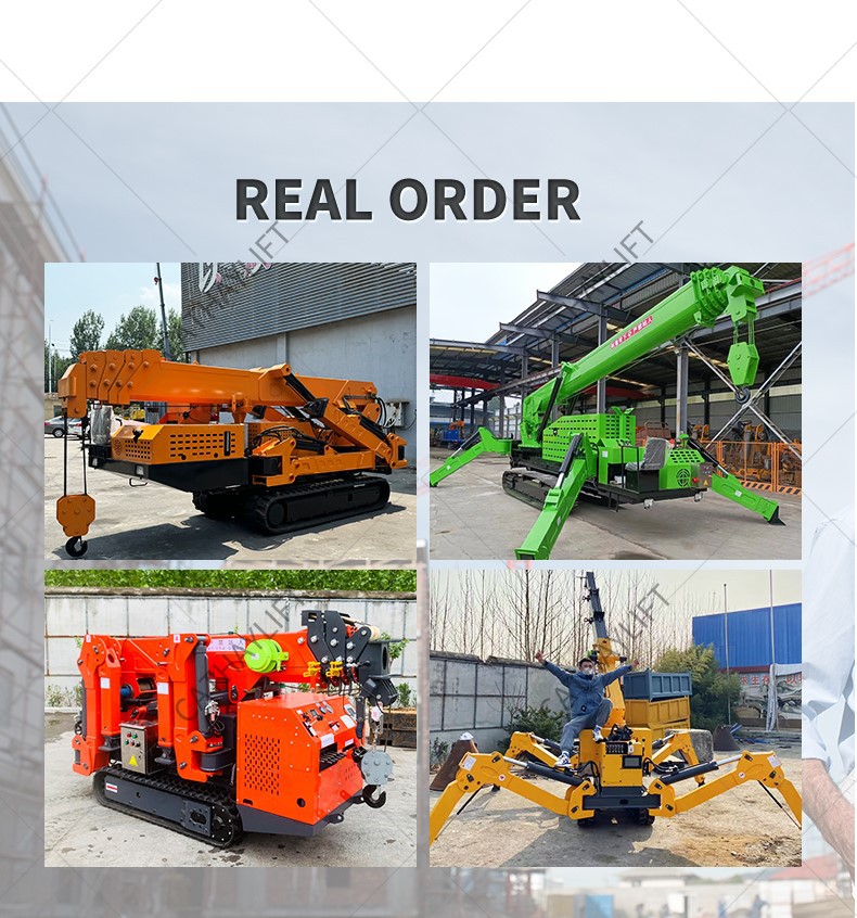 mini crawler crane 14